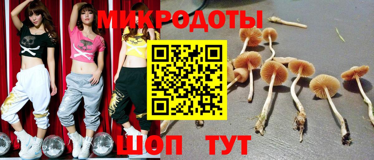 Галлюциногенные грибы мухоморы Первоуральск